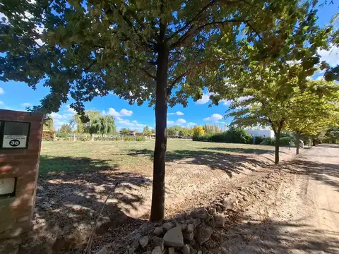 Terreno en Venta en General Roca, USD 19.000