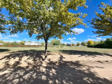 Terreno en Venta de 600,0 m2