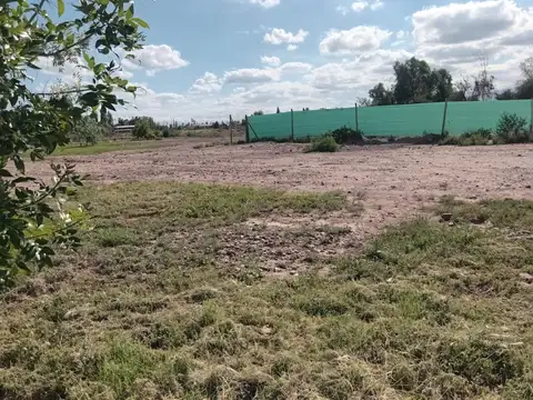 Bruno Morón 100