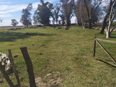 Excelente Campo Mixto de 155 Has con mejoras