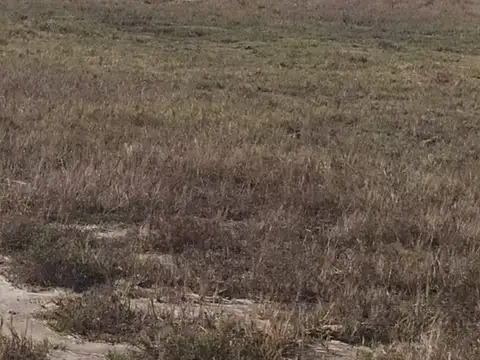 Excelente Campo Mixto de 155 Has con mejoras