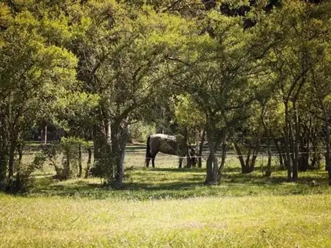 Terreno en Venta en Estancia Villa María, USD 37.000