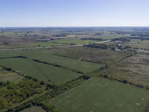 Campo en Venta de 53  ha