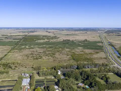Campo en Venta de 53  ha