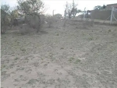 Los Eucaliptus 800