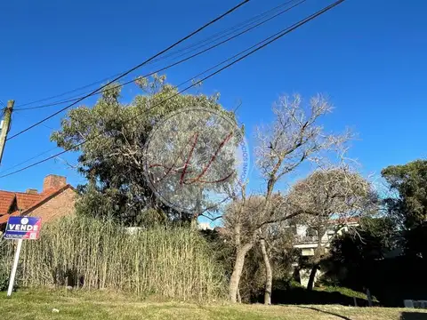 LOTE MULTIFAMILIAR / LEANDRO ALEM AL 1000