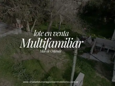 LOTE MULTIFAMILIAR / LEANDRO ALEM AL 1000