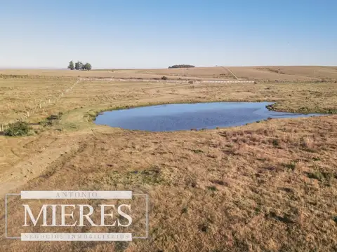 Chacra en venta de 6 ha Garzón con hermoso espejo de Agua