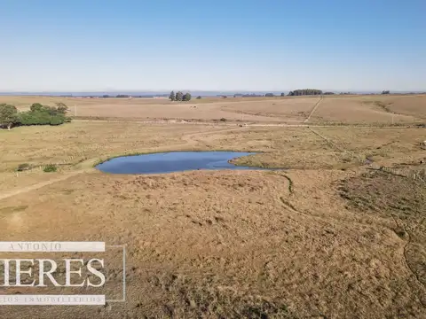 Camino Sainz Martinez y 1000 m de camino