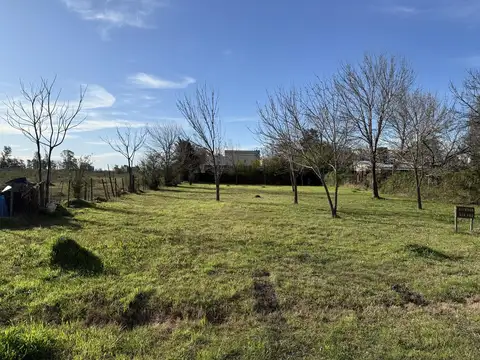 Terreno en Venta de 1000,0 m2