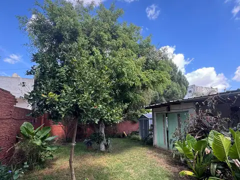 Alfredo Lorenzo Palacios 2600