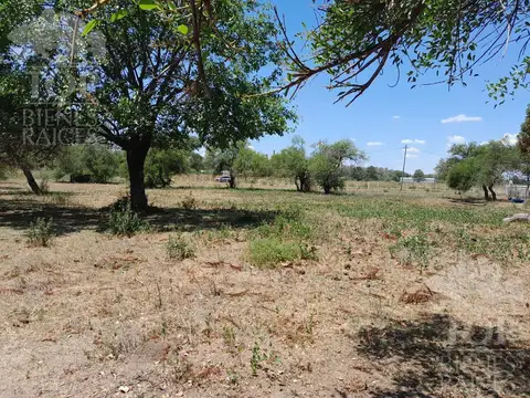 Terreno en Alquiler de 10000,0 m2