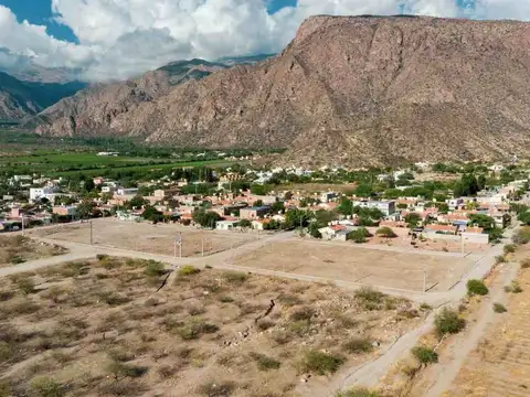 Cafayate. Vicario Toscano. Mza 96 A. Lote 100