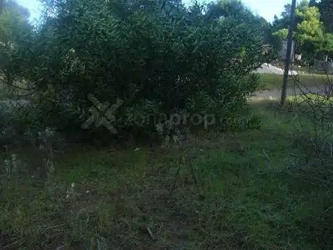 Calle 40 e/ San Clemente del Tuyú y Miramar 100