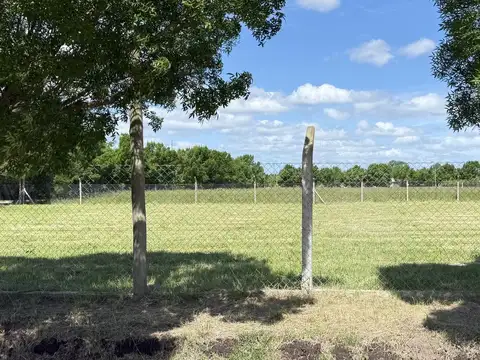¡Los atardeceres más encantadores, sin lugar a dudas, en el corazón del Barrio del Carmen! Los Pinos y Los Cerezos