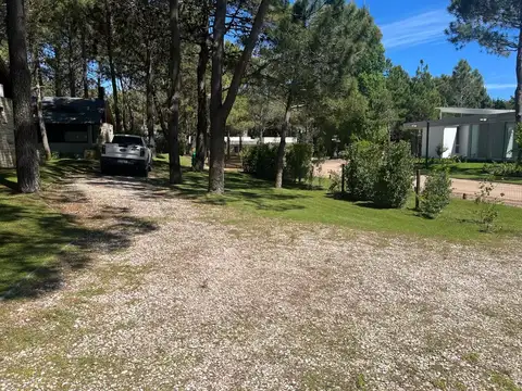la herradura 100