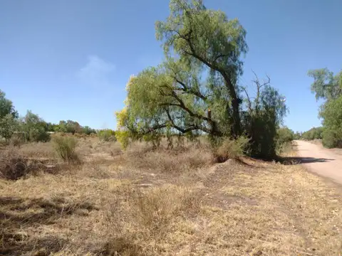 Terreno en Venta de 26000,0 m2