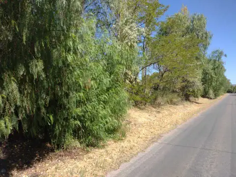 Terreno en Venta de 26000,0 m2