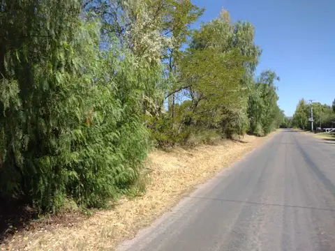 Calle Gutiérrez Rama Caida