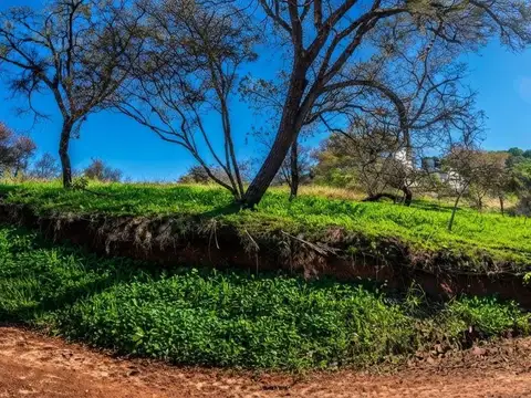 La cañada al 100