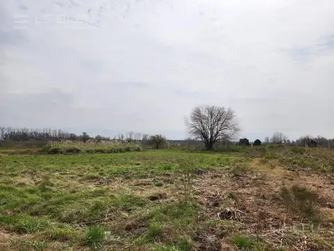 VENTA TERRENO PARQUE INDUSTRIAL PILAR IDEAL LOGISTICA TREN BELGRANO ZONA FRANCA