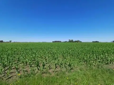 Campo en Venta Floricultura