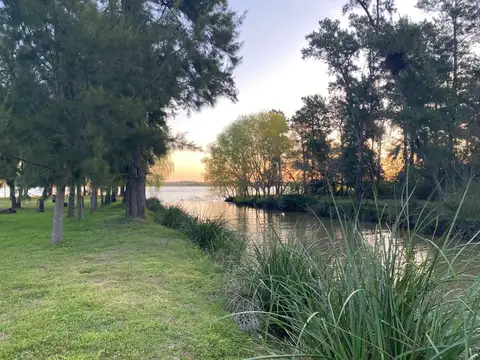 Lote de 25.000m2 venta 2da sección Delta Islas Paraná Palma