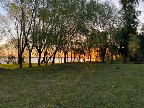 Parana De Las Palmas 2da Seccio