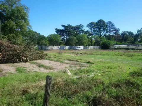 Terreno en Venta 50  mts Frente