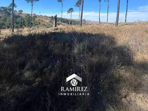 LOTES EN VILLA YACANTO