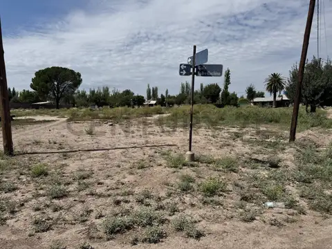 ANTONIO RIVERO ESQUINA LUIS VERNET , Piso 0