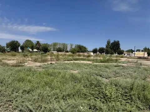 ANTONIO RIVERO ESQUINA LUIS VERNET , Piso 0