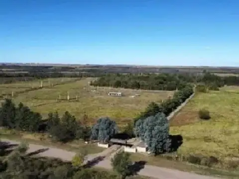 La Quebradita 2