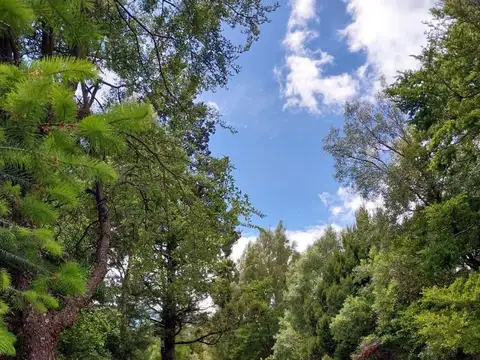Alquiler permanente en Bariloche