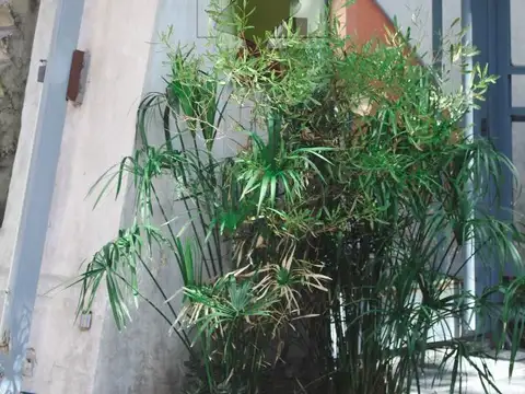 Av. Hipólito Yrigoyen 861 , Piso 9