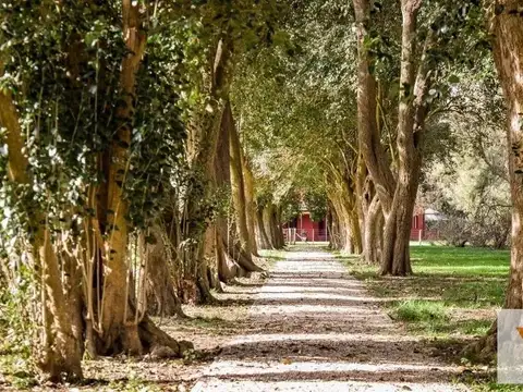 Club de Campo El Mirador