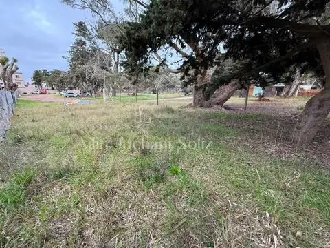 Terreno En El Monte