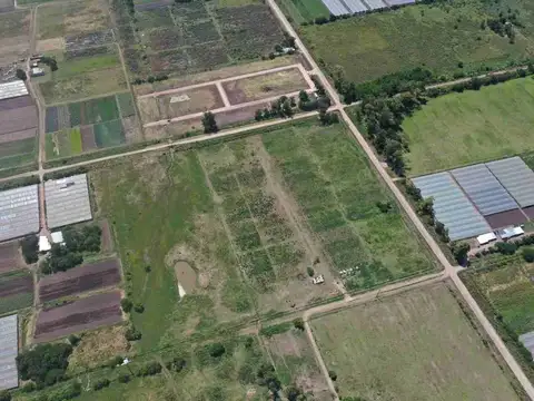 VENTA DE CAMPO/ FRACCION de 13,77 Has,  LOS HORNOS