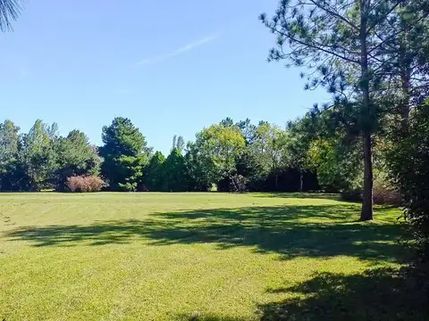 Cno Provincial 031-01