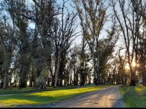 NUEVO PRECIO LOTE EN VENTA 2000 M²