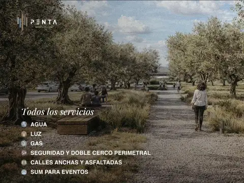 Terreno en Venta 41  mts Fondo