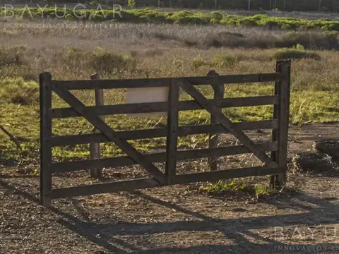 MCHICO – Lotes en Venta con Financiación - Pilar