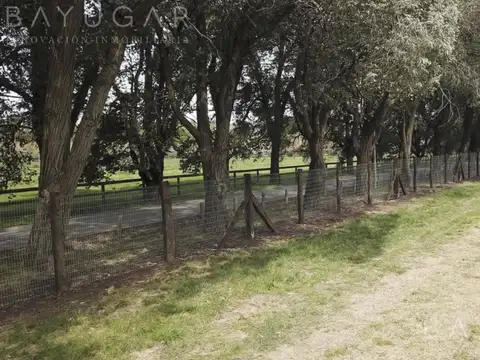 Terreno en Venta en Chacras De Murray, USD 82.500