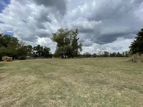 Chacra de 6ha con infraestructura ecuestre en Venta en Manzanares