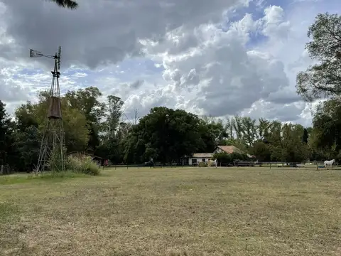Chacra de 6ha con infraestructura ecuestre en Venta en Manzanares