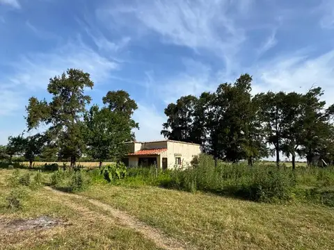 VENTA 50 HECTAREAS ARROYO AGUIAR