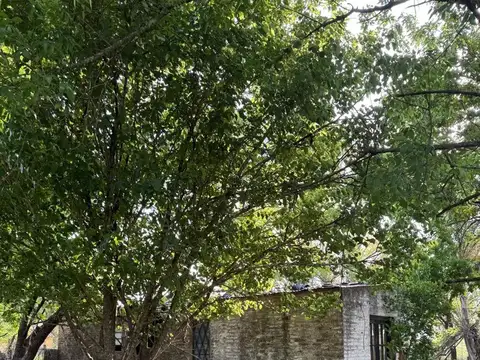 VENTA 50 HECTAREAS ARROYO AGUIAR