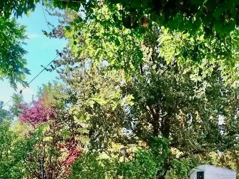 Chacra en Cipolletti