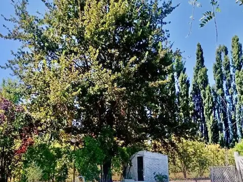 Zona facultad de Agronomia / Cinco Saltos