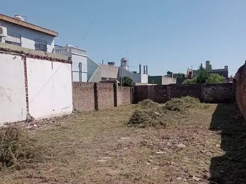 Del Kaiser 1000